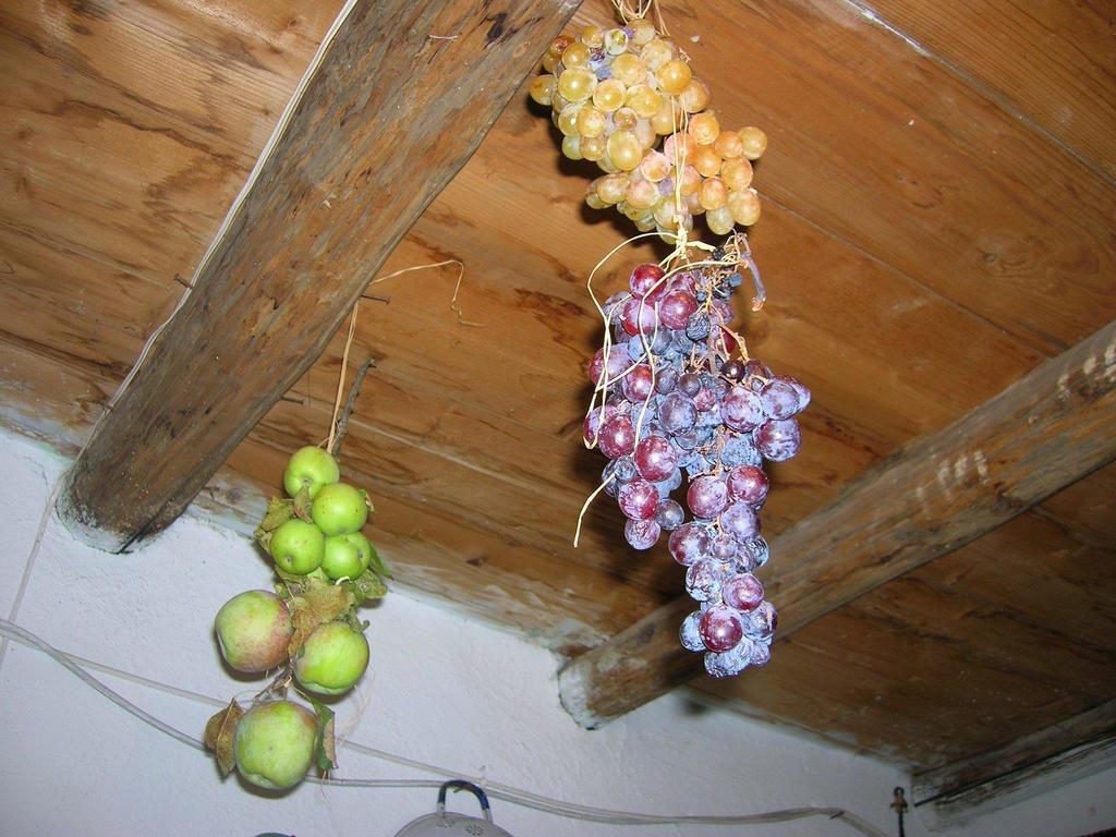 Serranello Azienda Agricola Apartment Bono  Екстериор снимка